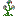 Botania-orechid.png