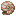 Minecraft-nautilus shell.png